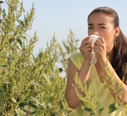 Allergy sufferers get your nasal steroids ready, fall allergy season is upon us! - Texas MedClinic