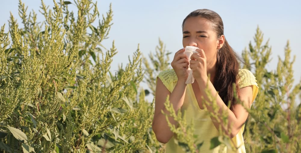 Allergy sufferers get your nasal steroids ready, fall allergy season is upon us! - Texas MedClinic Urgent Care