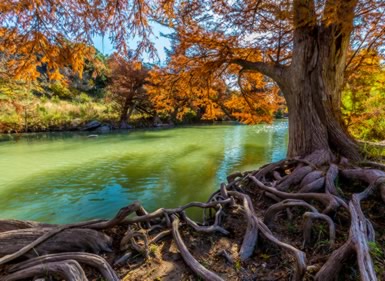 New Braunfels - Texas MedClinic