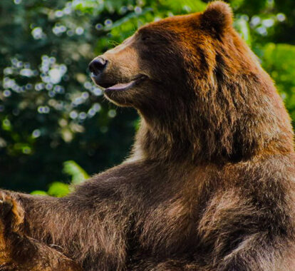 Coming out of hibernation safely - Texas MedClinic